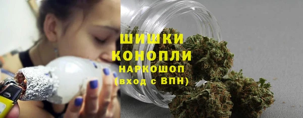 прущий лед Заводоуковск
