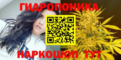 PSILOCYBIN Апшеронск