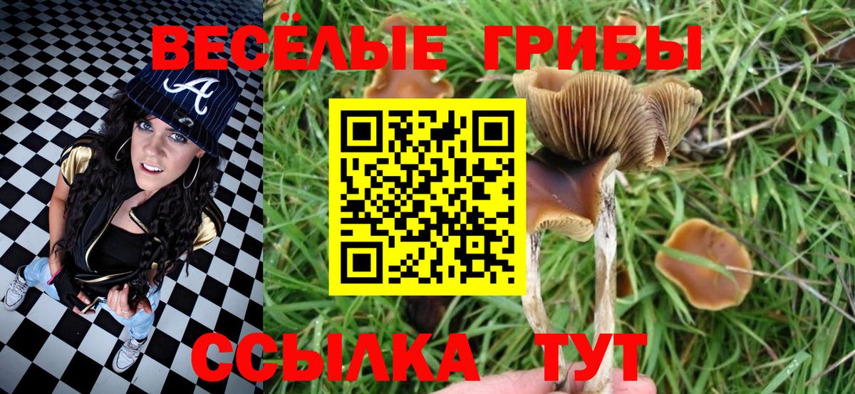 Солнечногорск  Галлюциногенные грибы GOLDEN TEACHER  Вход с VPN  Галлюциногенные грибы мухоморы 