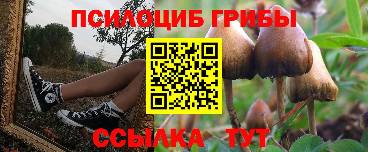 Псилоцибиновые грибы прущие грибы Солнечногорск