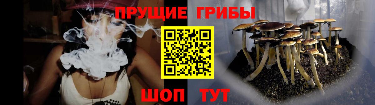 Псилоцибиновые грибы мицелий  Солнечногорск  Псилоцибиновые грибы ЛСД 